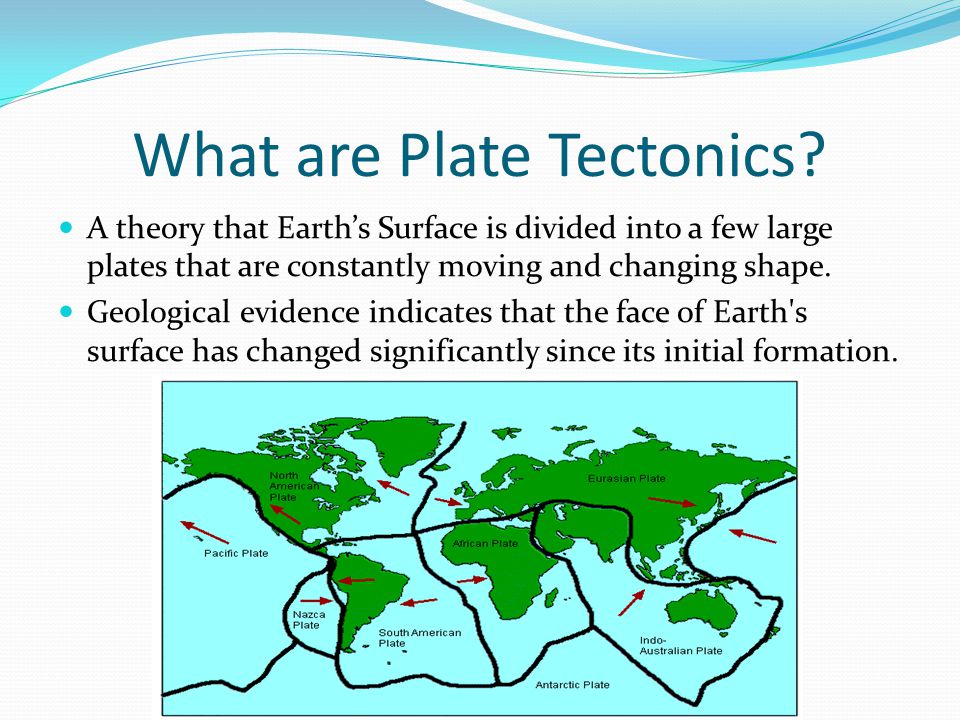 What is plate sale